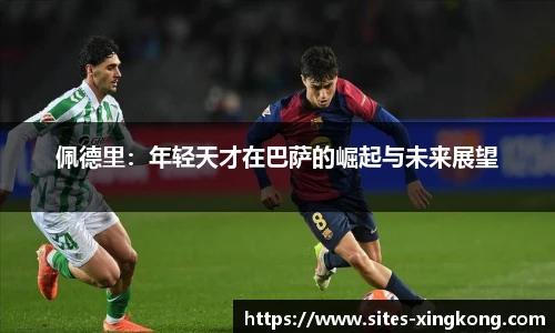 星空体育在线官网