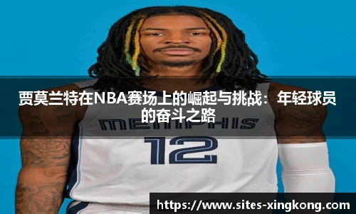 星空体育官网