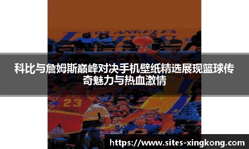 星空体育在线官网