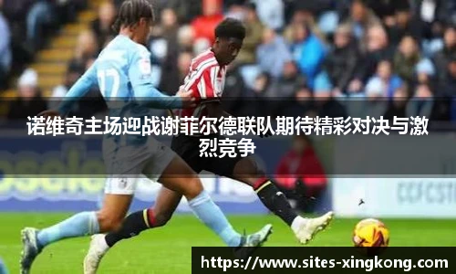 星空体育网站入口