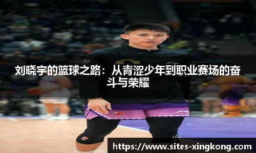 星空体育官网